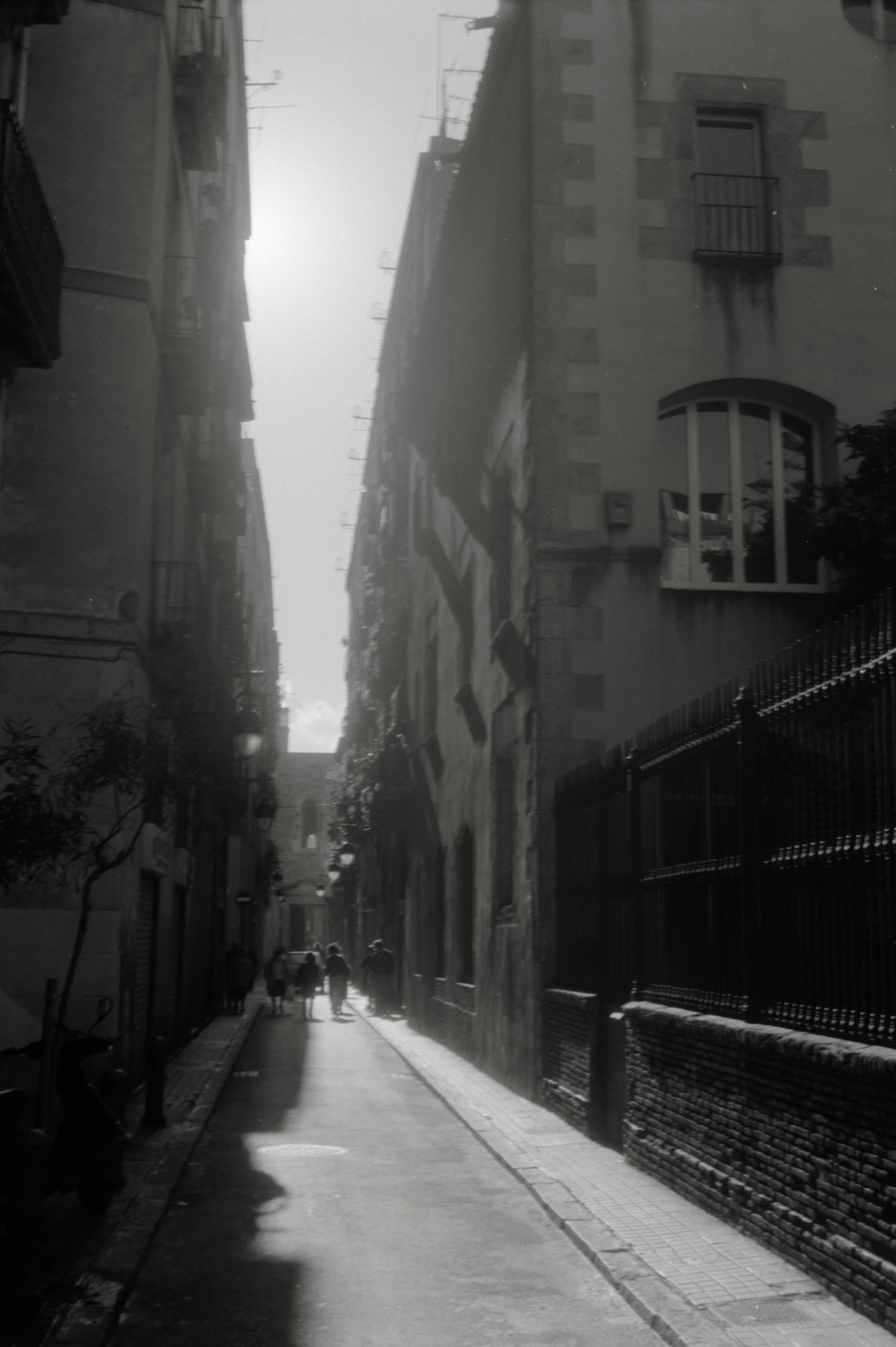 AHP F1996 03 001 sc240818 img05 NLP